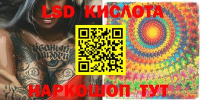 шишки Бийск
