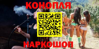 шишки Бийск