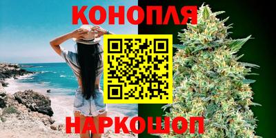 шишки Бийск