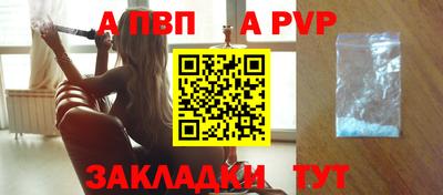 шишки Бийск