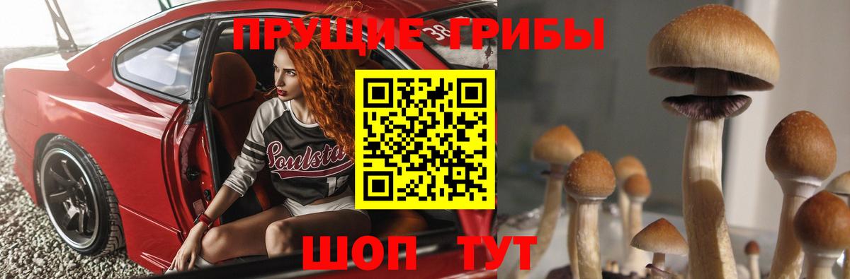 Псилоцибиновые грибы мухоморы  Вход с VPN  Киров  Псилоцибиновые грибы Cubensis 